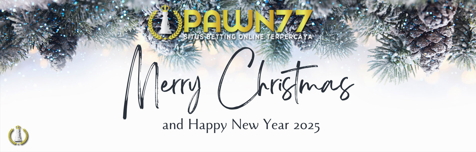 MERRY CHRISTMAS & HAPPY NEW YEAR 2025